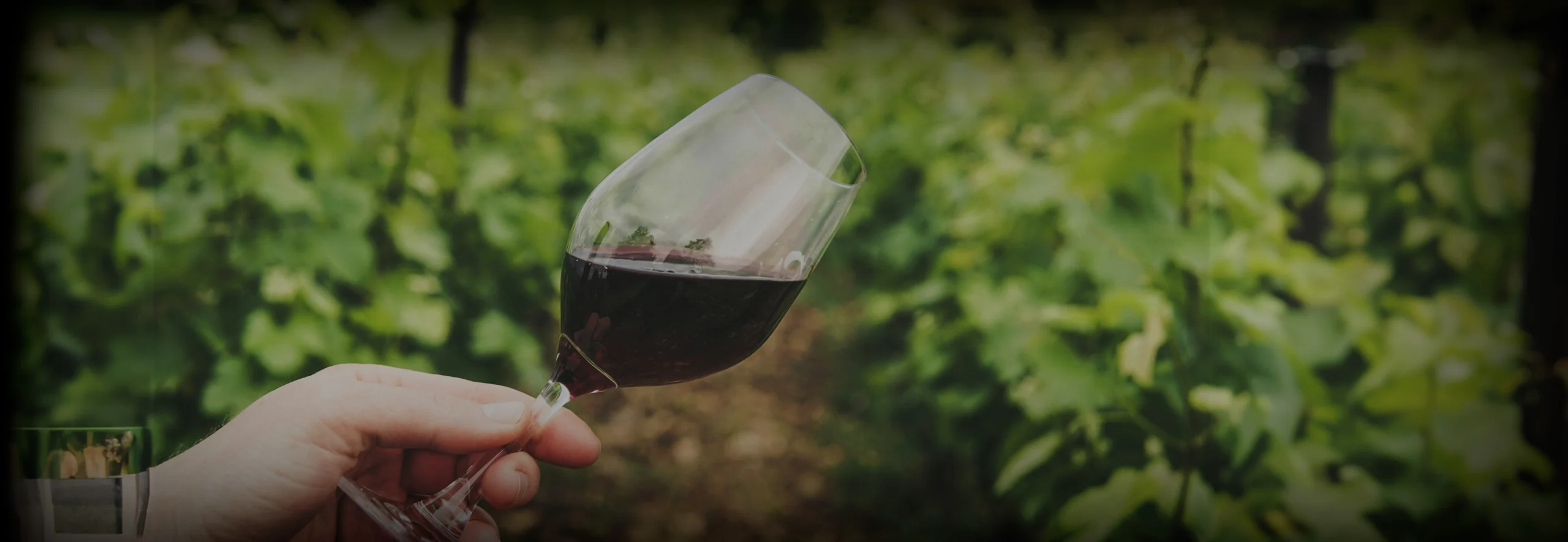 Botella de Vino